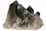 Dark Smoky Quartz Crystal Cluster - Brazil #104090-1